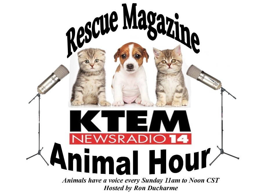 Rescue Magazine Animal Hour