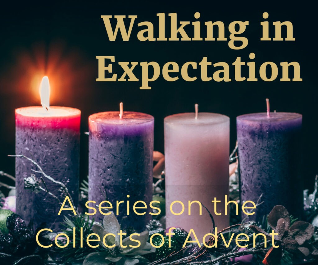 Walking in Expectation (Reflection on the Collect of the 2nd Sunday of